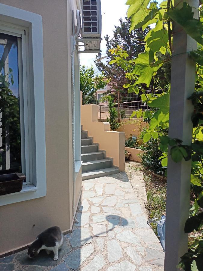 Filion Comfortable Country Apartment Levkákia Exterior foto